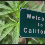 legal recreational marijuana