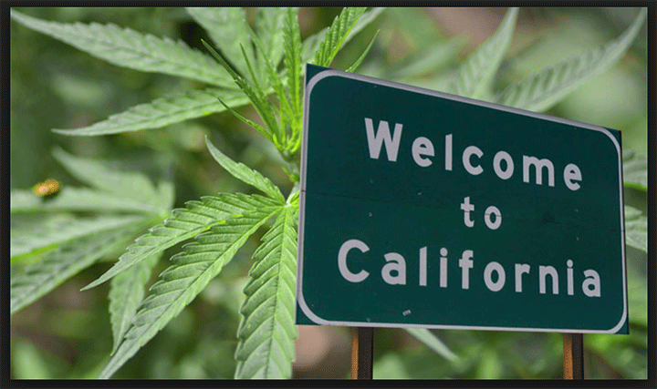 Recreational Marijuana in California, Legal at Last