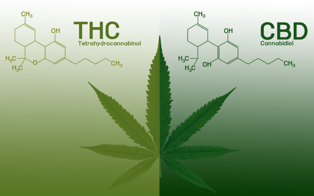 Why you Need THC in your CBD Oil