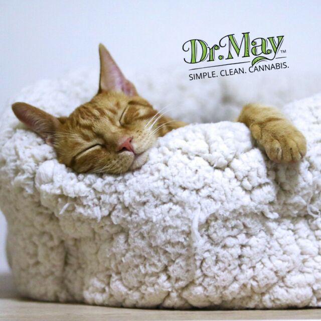 What does your sleep routine look like? Sleep is one of the most important bodily functions. For some people, it is a hot shower with a good book. For others, it’s a cup of tea with calming music in the background. But have you thought about CBD? CBD topicals can help improve sleep and relaxation. When CBD topicals are applied to the skin, they interact with cannabinoid receptors in the body, which helps promote relaxation and reduce stress. Also, CBD helps reduce pain and inflammation, contributing to a better night's sleep. #CBD #THC #sleep #insomnia #routine #weed #cannabis #tea #music #shower #relax #pain #night